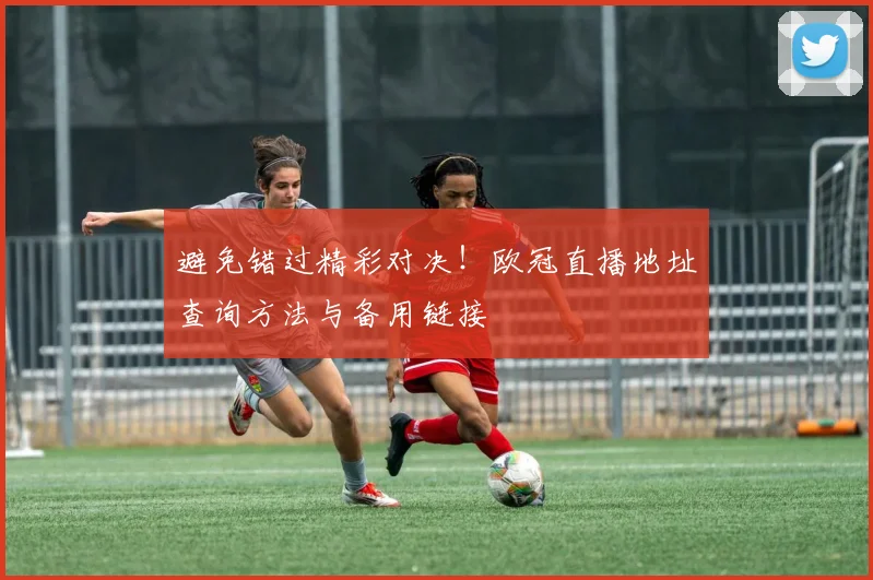 避免错过精彩对决！欧冠直播地址查询方法与备用链接