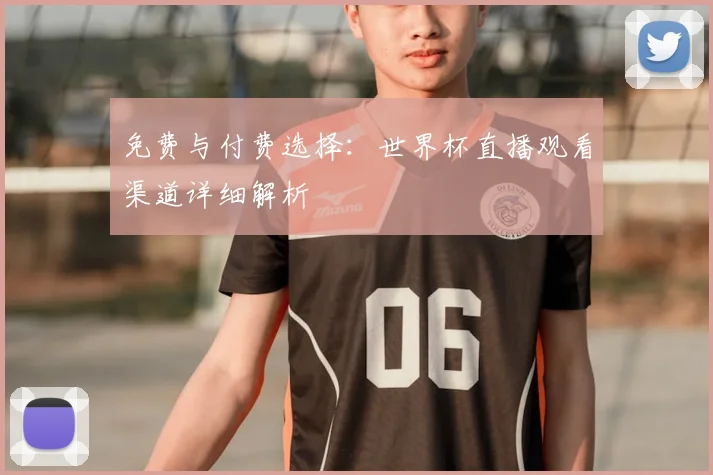 免费与付费选择：世界杯直播观看渠道详细解析