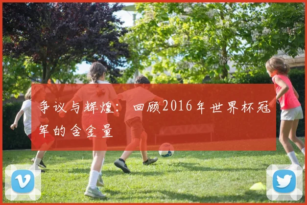 争议与辉煌：回顾2016年世界杯冠军的含金量