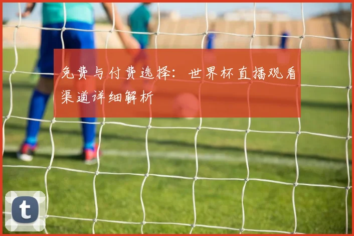 免费与付费选择:世界杯直播观看渠道详细解析