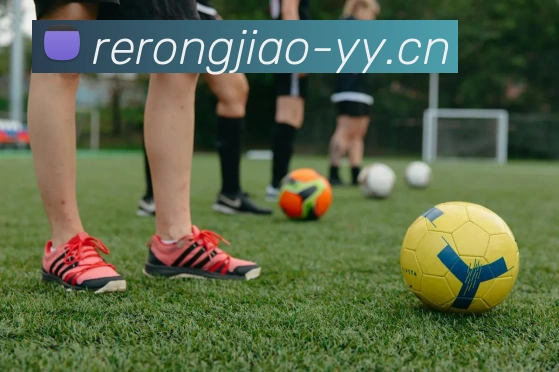 kaiyun开云手机登录APP 封面图